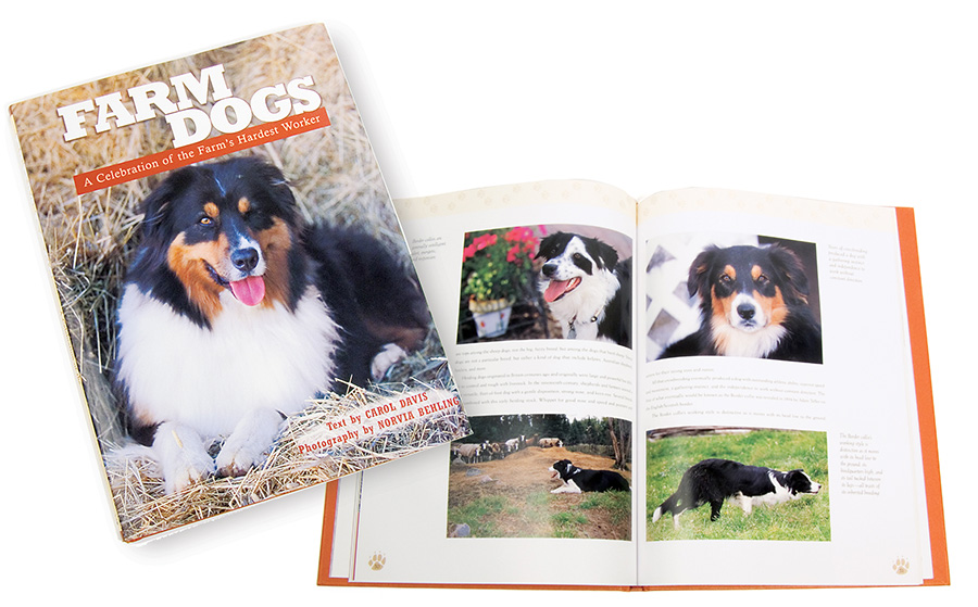 Voyageur Press Dog Book