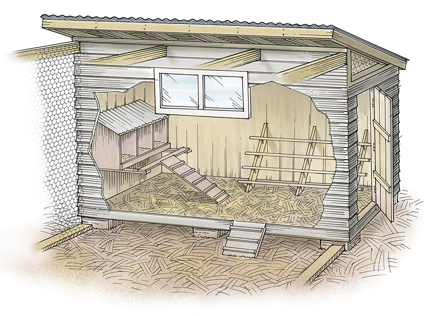Out Here Illustration - How to Build a Chicken Coop